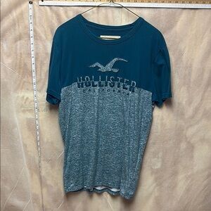 Hollister Teal and Gray Logo Tee